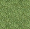 super_grass.jpg
